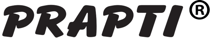 logo-n12