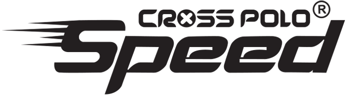 logo-n13