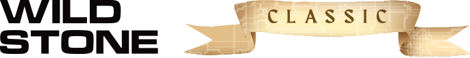 logo-n2
